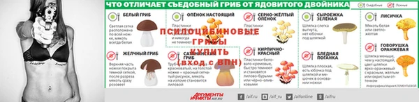 не бодяженный Нефтекумск
